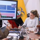 La Comisión de Justicia, presidida por Rosa Torres (ADN), tramita el proyecto de reforma al Código Orgánico de la Función Judicial.
