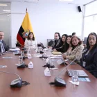 Delegados de organizaciones sociales y de la Corte Nacional expusieron observaciones a la reforma sobre personas desaparecidas en la Comisión de Seguridad.