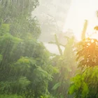 Referencial. La lluvia intensa cubre zonas de vegetación en Ecuador, mientras el pronóstico advierte precipitaciones este 12 de junio.