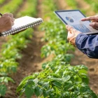 El programa de incentivos financieros del Gobierno destinará $155 millones para ampliar el acceso a créditos de jóvenes emprendedores y pequeños productores agrícolas a través de cooperativas del país.