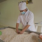 Estudios internacionales confirman que el chocho combina alto valor nutricional, potencial agroindustrial y beneficios ambientales que lo convierten en un cultivo clave para el futuro.