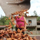 El plan africano podría abrir nuevas oportunidades para Ecuador.