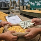Una foto referencial sobre la comercialización del maíz en Ecuador.