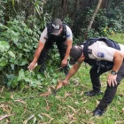 En el sector de Argelia, sur de Quito, policías del Distrito Eloy Alfaro localizaron una arma de fuego, que fue levantada con cadena de custodia y trasladada a la Policía Judicial.