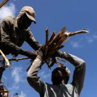 Fotografía del 3 de junio de 2026 de haitianos trabajando en una plantación de caña de azúcar en El Seibo (República Dominicana).
