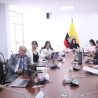La Comisión de la Niñez continuó la fiscalización de denuncias de acoso escolar y violencia en instituciones educativas.