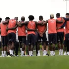 Ecuador ante Alemania, el todo o nada. Por ahora un gato dice que la Tri podría ganar.