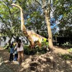 Dinosaurios gigantes con efectos de sonido y movimiento son la gran atracción del Jardín Jurásico en Quito.