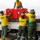 Rescatistas de República Dominicana llegan a Venezuela para sumarse a las labores de búsqueda de sobrevivientes tras los devastadores terremotos.