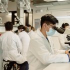 Una revisión científica publicada en Antioxidants identificó que diversos polifenoles presentes en plantas poseen mecanismos antioxidantes y antiinflamatorios con potencial para proteger el cerebro.