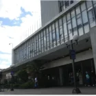 El PIB em Ecuador no creció lo que se esperaba en el primer trimestre del año.