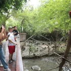 El Parque Histórico queda en Samborondón. Ofrece una mirada a especies endémicas que han sido rescatadas.