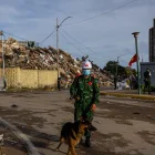 Rescatistas de Vietnam realizan labores de búsqueda de sobrevivientes a los terremotos, este 30 de junio de 2026 en Catia La mar, La Guaira (Venezuela)