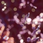 La alimentación, la lactancia materna y el uso responsable de antibióticos son determinantes para el desarrollo de una microbiota saludable.
