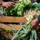 Dedicó su vida a la investigación, la docencia y el impulso de la agricultura orgánica en Ecuador