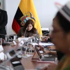 Inés Alarcón preside la Comisión de Seguridad de la Asamblea Nacional.