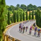 El Tour de Francia 2026 se disputa desde el pasado 4 de julio.