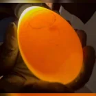 El proceso de incubación artificial permitió el nacimiento del primer cóndor andino en Cuenca, Ecuador.