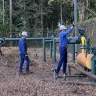 En el Campo Sacha, Petroecuador eliminó dos mecheros.