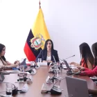 Representantes de UNICEF y un experto en justicia juvenil expusieron observaciones al proyecto que reforma el régimen de adolescentes infractores.