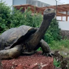 La Universidad Central del Ecuador en Galápagos fue evaluada por la Comisión de Educación junto a autoridades universitarias y del CES.