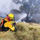 Bomberos de Quito controlaron un incendio forestal registrado en el sector Jaime Roldós, donde se desplegó un operativo para evitar la propagación del fuego.