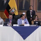 Ferdinan Álvarez preside la Comisión e Fiscalización en donde se tramita el juicio contra la exministra de Energía Inés Manzano.
