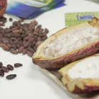 La Cumbre Mundial del Cacao será del 4 al 6 de agosto