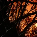 Incendio consume la zona de búsqueda de Lizeth Bunshi en el río Machángara, en Quito