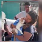 Rescatistas sostienen a Luli, la gata encontrada con vida tras permanecer 23 días bajo los escombros de un terremoto.