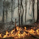 Fotografia referencial de los  incendios forestales  Las altas temperaturas y los vientos dificultan las labores de control de los incendios forestales.