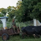 Un campesino viaja en una carreta tirada por bueyes por una calle de Bauta, provincia de Artemisa, Cuba, el 27 de junio de 2026.