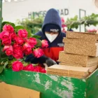 Las flores ecuatorianas se ubicarían por delante de Colombia, tras sobretasa arancelaria.
