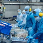 La carne de cerdo consta entre los 10 alimentos con mayor peso en el gasto de los hogares ecuatorianos, según el INEC.