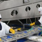 Santa Priscila es una de las mayores empresas camaroneras y exportadoras de camarón de Ecuador.