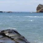 Formaciones rocosas en la costa, mientras la vida marina enfrenta riesgos por el aumento de la temperatura del océano.