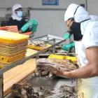 El sector atunero de Ecuador es de los más beneficiados con TLC con Canadá.
