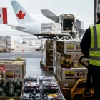 El TLC con Canadá abrirá nuevas oportunidades para las exportaciones ecuatorianas de flores, cacao, berries, brócoli y alimentos procesados.
