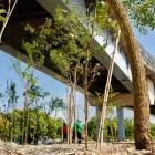 El primer Bosque de Bolsillo de Samborondón transformará un espacio bajo el puente hacia Guayaquil en una nueva área verde para la comunidad.