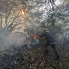 Itulcachi. Bomberos y ciudadanía controlaron el incendio forestal tras varias horas de trabajo y evitaron que las llamas se propagaran a otras áreas.