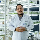 El Fusarium Raza 4 Tropical fue detectado por primera vez en Ecuador en 2025. En julio de 2026 se confirmó un segundo brote en un predio vecino de El Quemado, en la provincia de El Oro.