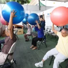 Un grupo de adultos mayores hacen ejercicios especializados en Geronto, para ser activos.