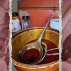 La inspección reveló plagas, restos de comida y suciedad en distintas áreas del establecimiento.