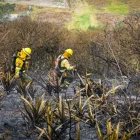 La vegetación seca y la baja humedad aumentan el riesgo de propagación del fuego en varias provincias del país. En Quito, en Pichincha, esta semana se han registrado varios incendios.