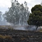 Vista de un incendio forestal en medio de altas temperaturas en Sibate, cerca de Bogotá, Colombia, el 3 de agosto de 2026.