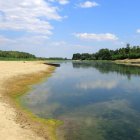 Bajo nivel del río Danubio a su paso por la localidad de Roseti, en Rumanía, en una imagen de principios de agosto.