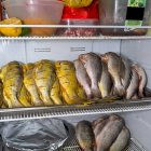 Las corvinas apiladas en el interior de un refrigerador en la cocina del restaurante.