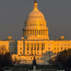 El Capitolio de EE. UU., escenario de debates sobre asilo y visas.