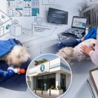 La Unidad de Bienestar Animal de Quito inspeccionó el lugar y obtuvo la versión de los directivos de la peluquería.