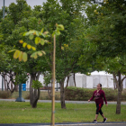 El parque Samanes cuenta con decenas de áreas verde para caminar.